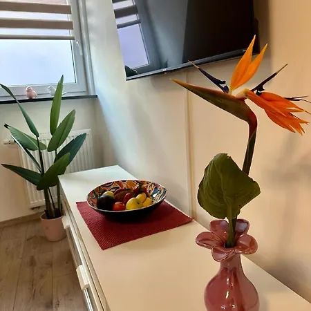 Goja Apartment