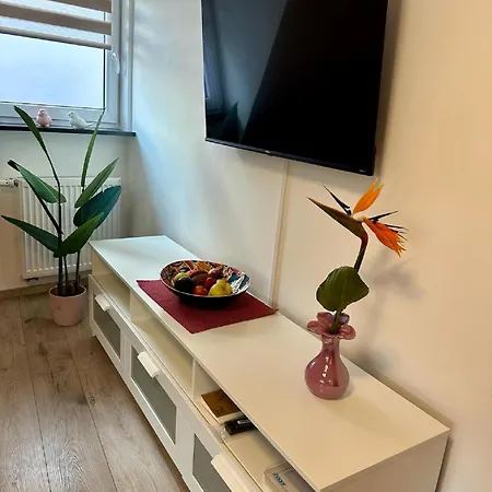 Goja Apartment *