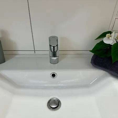 Apartment Goja